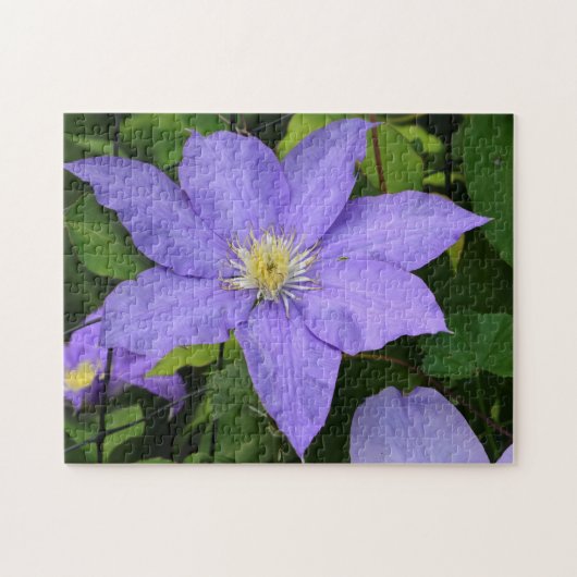 Hübsche Lila Clematis Blossom Puzzle (Horizontal)