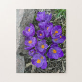 Hübsche Lila Crocus Blume im Garden Puzzles (Vertikal)