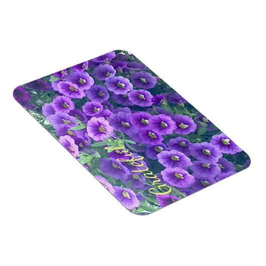 Hübsche Lila Dankbarkeit Petunia Magnet (Rechte Seite)