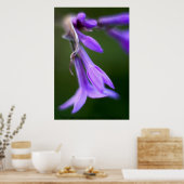 "Hübsche Lila Dinge" von Andrew Gettler Poster (Küche)