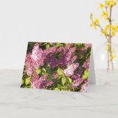 Hübsche lila Flieder-Gruß-Karte Karte (Gelbe Blume)