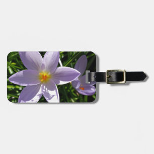 Hübsche lila Gartenanlage Blume. 美 丽 的 紫 花 色 Gepäckanhänger