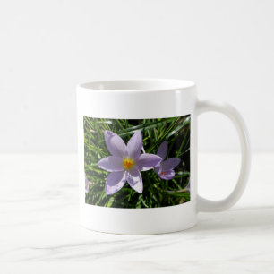 Hübsche lila Gartenanlage Blume. 美 丽 的 紫 花 色 Kaffeetasse