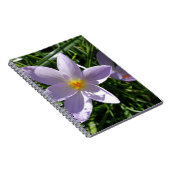 Hübsche lila Gartenanlage Blume. 美 丽 的 紫 花 色 Notizblock (Rechte Seite)