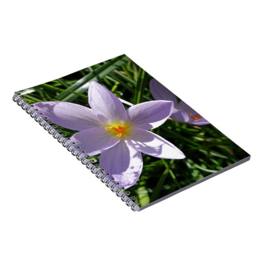 Hübsche lila Gartenanlage Blume. 美 丽 的 紫 花 色 Notizblock (Rechte Seite)