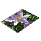 Hübsche lila Gartenanlage Blume. 美 丽 的 紫 花 色 Notizblock (Linke Seite)