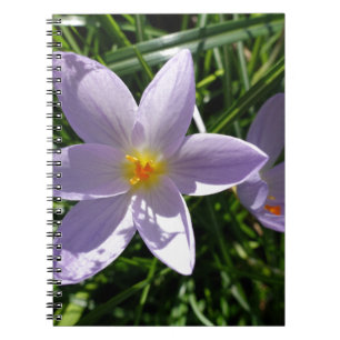 Hübsche lila Gartenblume. 美丽的紫色花 Notizblock