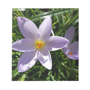 Hübsche lila Gartenblume. 美丽的紫色花 Notizblock