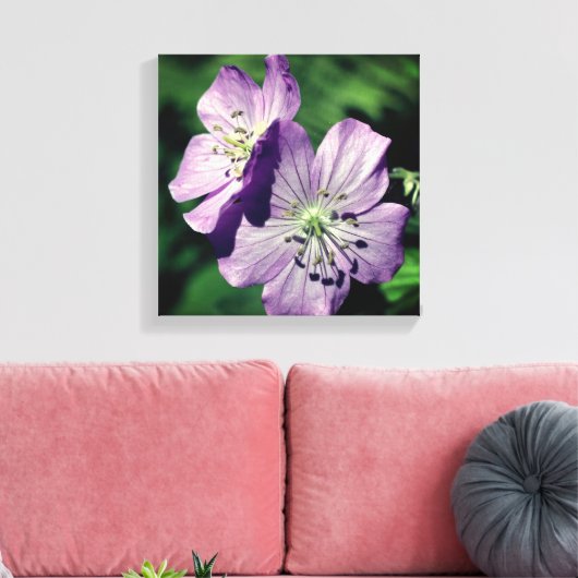 Hübsche Lila Geranium-Blume Nah Leinwanddruck (Insitu (Wohnzimmer))