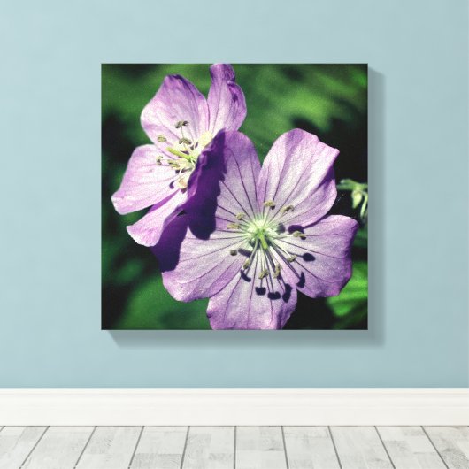 Hübsche Lila Geranium-Blume Nah Leinwanddruck (Insitu (Holzboden))