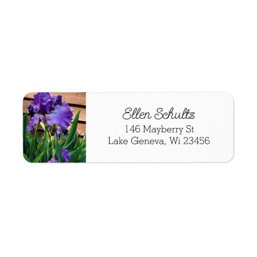 Hübsche Lila Iris-Blume (Vorne)