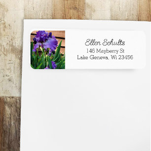Hübsche Lila Iris-Blume