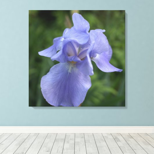Hübsche Lila Iris Blume Canvas Print Leinwanddruck (Insitu (Holzboden))