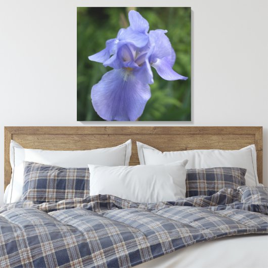 Hübsche Lila Iris Blume Canvas Print Leinwanddruck (Insitu (Schlafzimmer))
