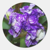 Hübsche Lila Iris-Blume Runder Aufkleber (Vorderseite)