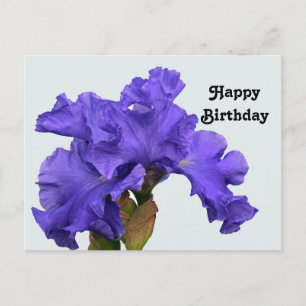 Hübsche lila Iris Blumenfoto Geburtstag Postkarte