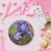 Hübsche lila Iris Pappteller (Party)