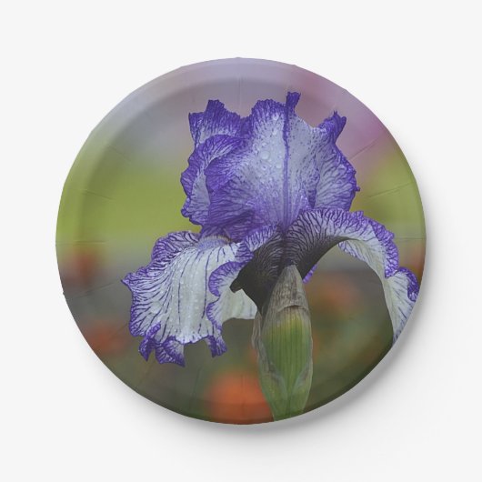 Hübsche lila Iris Pappteller (Vorderseite)