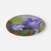 Hübsche lila Iris Pappteller (Schrägansicht)