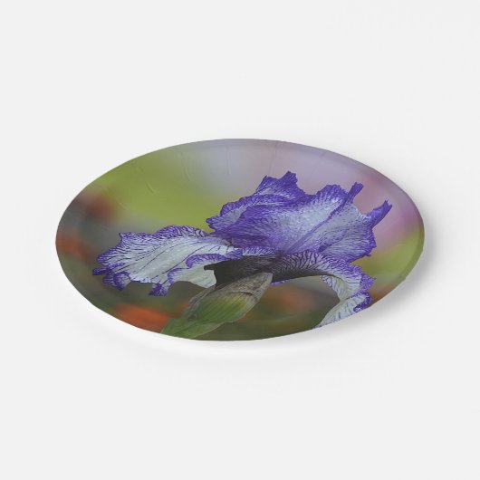 Hübsche lila Iris Pappteller (Schrägansicht)