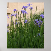 Hübsche Lila Irische Poster (Vorne)