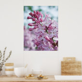 Hübsche Lila Lilacs Poster (Küche)