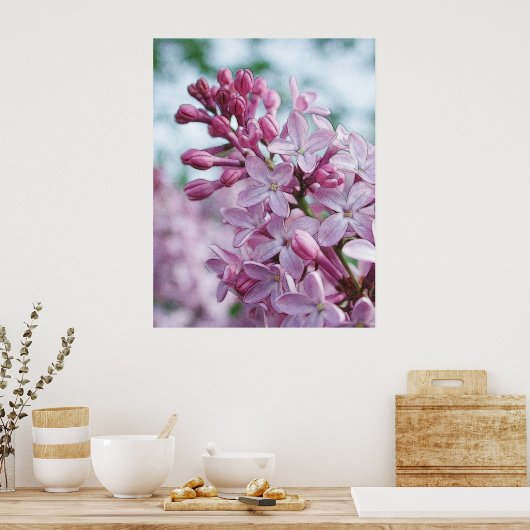 Hübsche Lila Lilacs Poster (Küche)