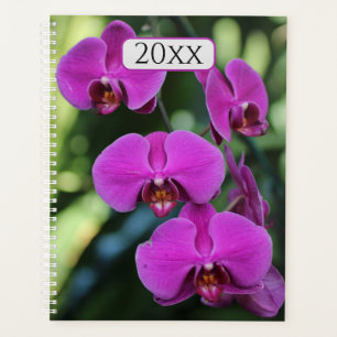 Hübsche Lila Orchideen für ein benutzerdefiniertes Planer
