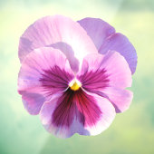 Hübsche Lila Pansy-Blume Fensteraufkleber (Blatt 3)