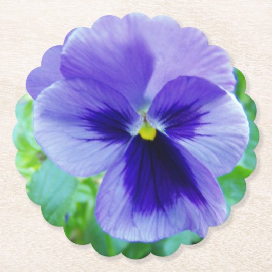 Hübsche Lila Pansy-Blume Untersetzer (Vorderseite)
