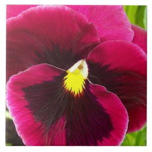 Hübsche Lila Pansy Floral Fliese