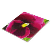 Hübsche Lila Pansy Floral Fliese (Seite)