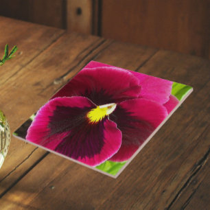 Hübsche Lila Pansy Floral Fliese