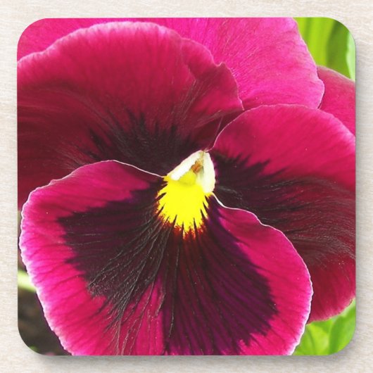 Hübsche Lila Pansy Floral Getränkeuntersetzer (Vorderseite)
