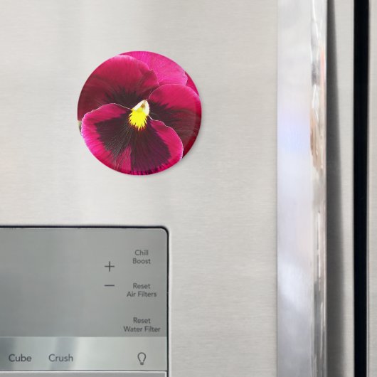Hübsche Lila Pansy Floral Magnet (In Situ (Kühlschrank))