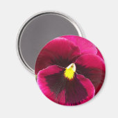 Hübsche Lila Pansy Floral Magnet (Vorderseite/Rückseite)