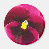 Hübsche Lila Pansy Floral Magnet (Vorne)