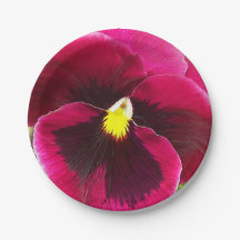 Hübsche Lila Pansy Floral