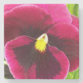 Hübsche Lila Pansy Floral Steinuntersetzer (Vorderseite)