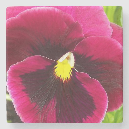 Hübsche Lila Pansy Floral Steinuntersetzer (Vorderseite)