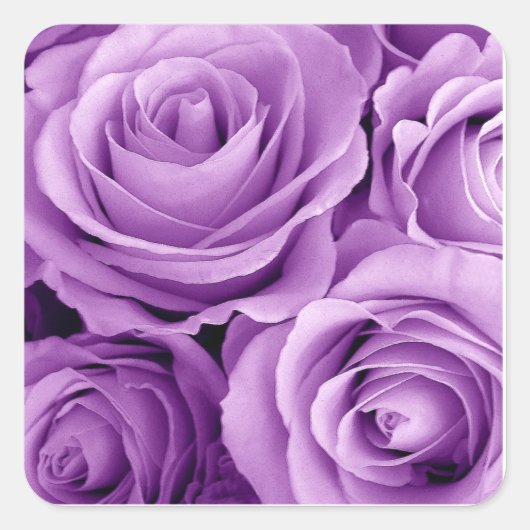 Hübsche Lila Rose Herz-Aufkleber (Vorderseite)