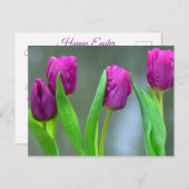 Hübsche Lila Tulissen Ostern Postkarte (Vorne/Hinten)
