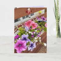 Hübsche Lila und rosa Petunias und Märchengarten