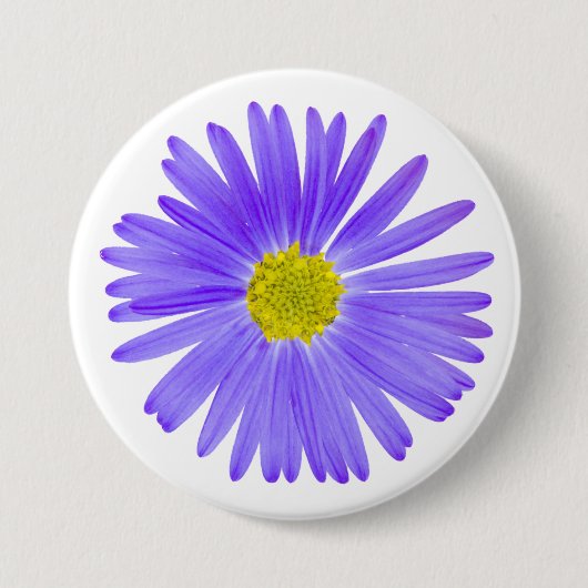 Hübsche lila viele Petaled Wildblume Button (Vorderseite)