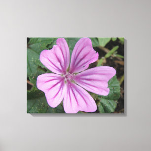 Hübsche Lila Wildblume Canvas Print Leinwanddruck