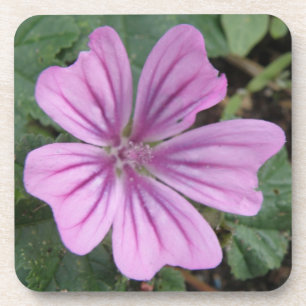 Hübsche Lila Wildblume Cork Untersetzer