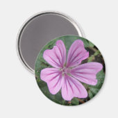 Hübsche Lila Wildblume Magnet (Vorderseite/Rückseite)