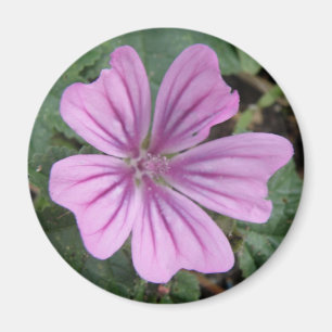 Hübsche Lila Wildblume Magnet