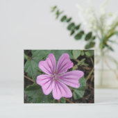 Hübsche Lila Wildblume Postkarte (Stehend Vorderseite)