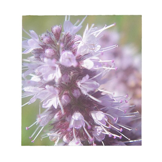 Hübsche lila Wildblüten Notizblock (Vorderseite)